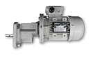 Voerpan motor met vierkante flens